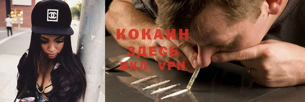 прущие грибы Алексин