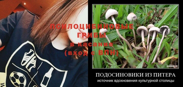 прущие грибы Алексин