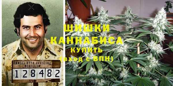 прущие грибы Алексин