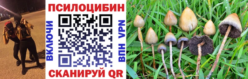 купить наркотики цена  Катав-Ивановск  Псилоцибиновые грибы MAGIC MUSHROOMS 
